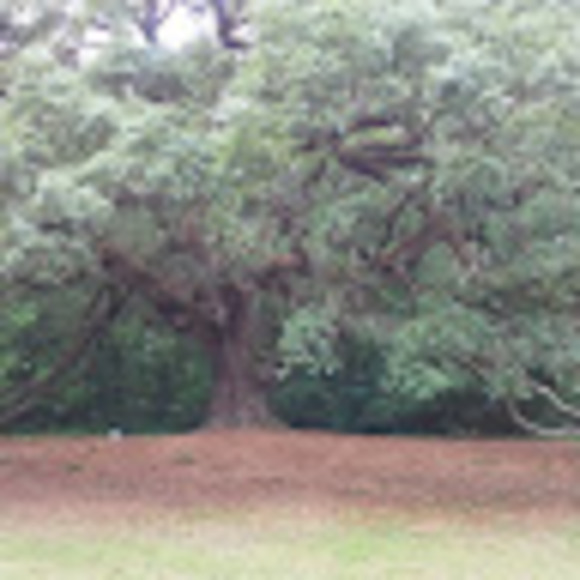 Meet your Posher, Heather - Picture 1 of 1